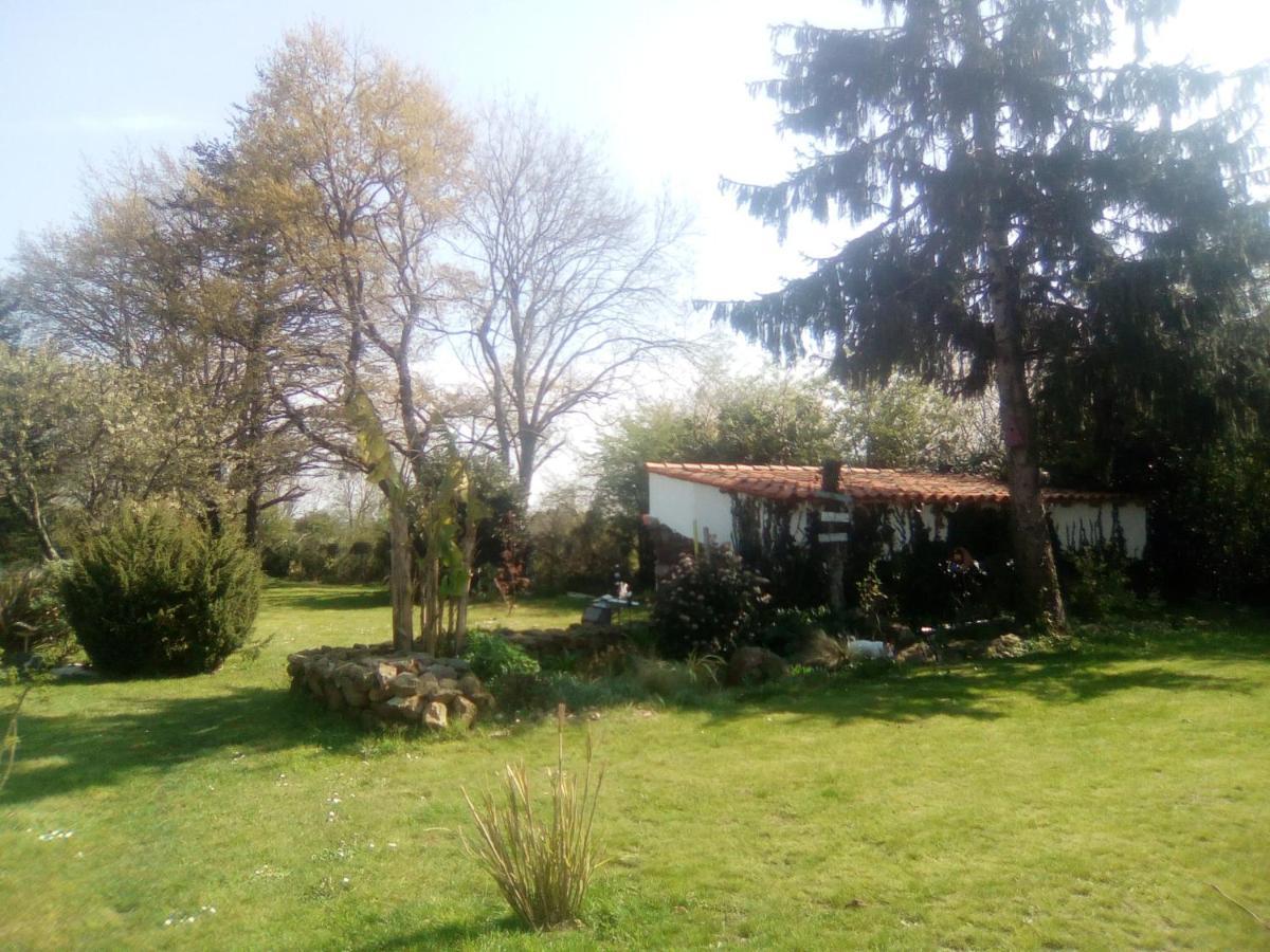 Bed and Breakfast Mas Des Vignes Piscine Chauffee Le Champ-Saint-Pere Zewnętrze zdjęcie